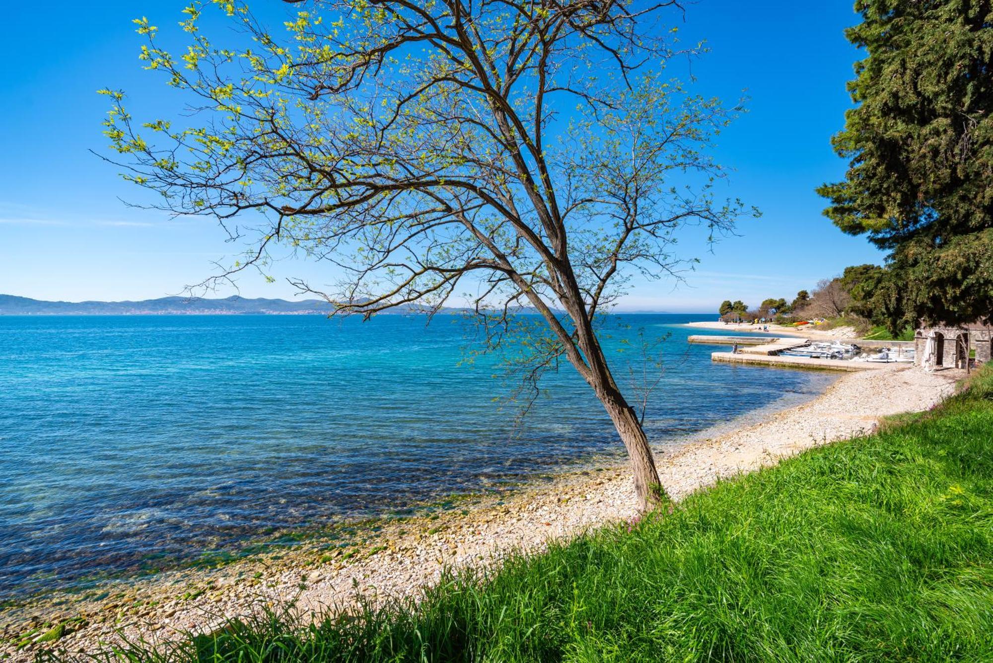 Kolovare Garden Oasis - First Row By Sea Apartment Zadar Exterior foto